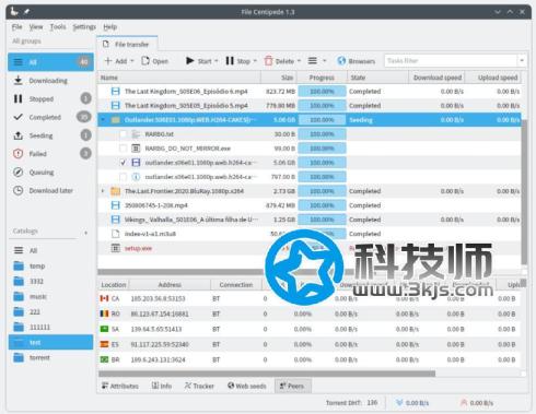  文件蜈蚣(FileCentipede) - 支持迅雷、磁力链、BT等协议的全能下载工具