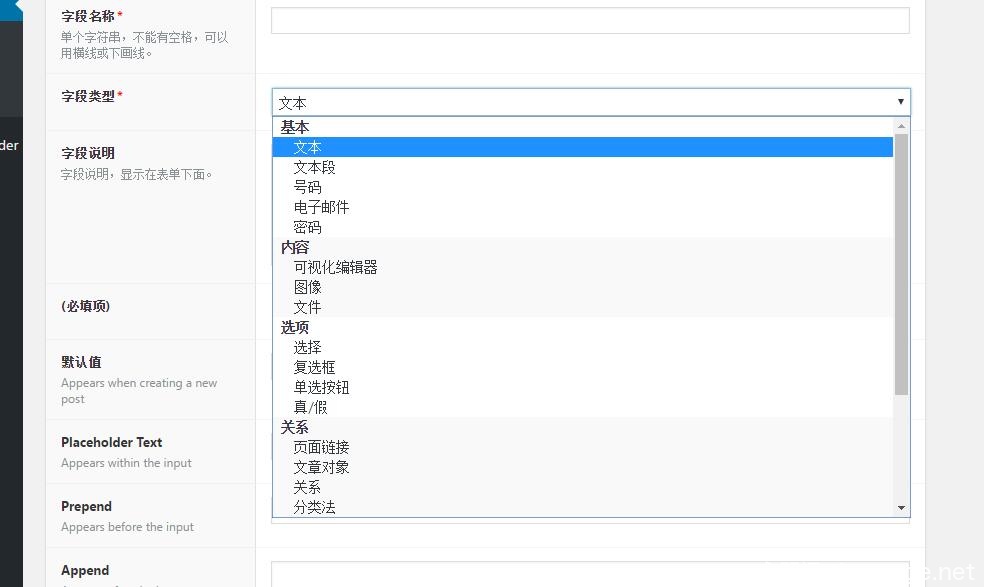 Advanced Custom Fields 高级自定义字段插件详细使用教程